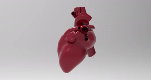 Heartbeat Turn