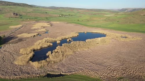 Aerial View Of Reeds Covered Lake