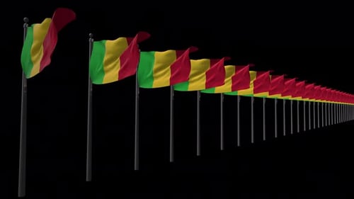 Animated Line of Red Yellow Green National Flags