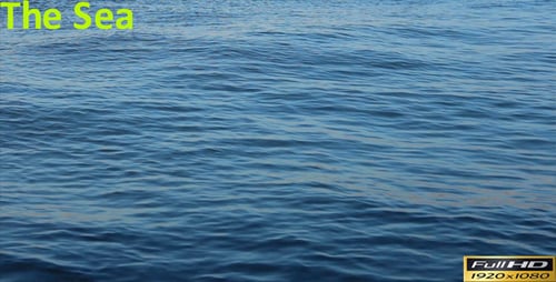 The Sea
