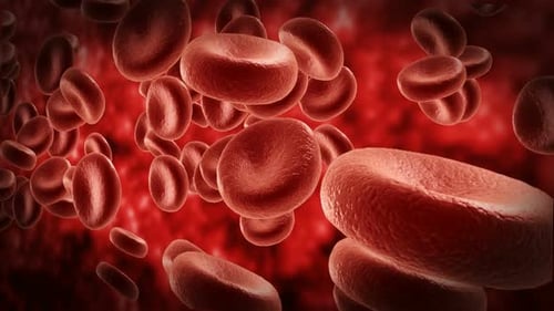 Blood Cells