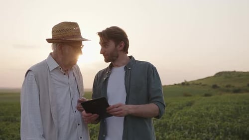 Men Discussing Crops With Tablet in Field at Sunset