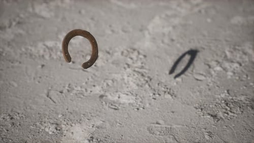 3D Lucky Horseshoe Falling With Realistic Shadow