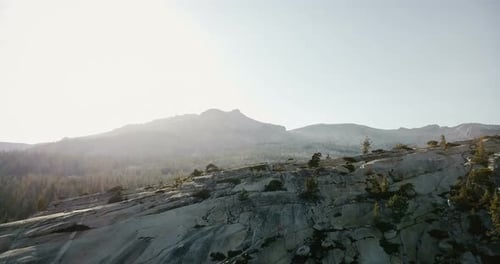 Drone Flying Above Amazing White Mountain Ridge To Reveal Large Pine Forest at Summer Yosemite
