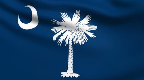 Realistic Waving South Carolina State Flag Loop