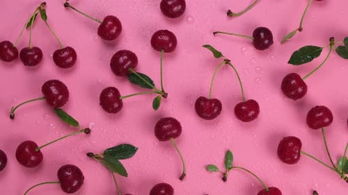 Rotating Background of Ripe Wet Cherries with Water Drops on a Black Background with Green Leaves