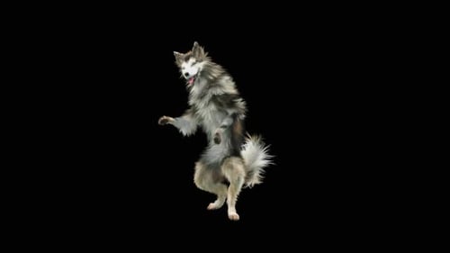 Animated Fluffy Dog Creature Dancing on Its Hind Legs
