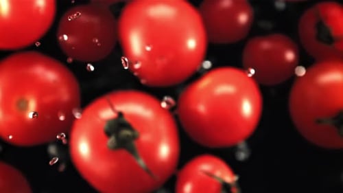 Tomates fraîches avec des gouttes d'eau volent vers le haut et tombent