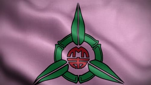 Abstract Waving Flag with Stylized Emblem Animation