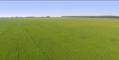 Flying Over Green Field