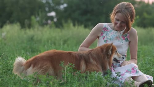 Woman Hugging Dog in Grassy Field