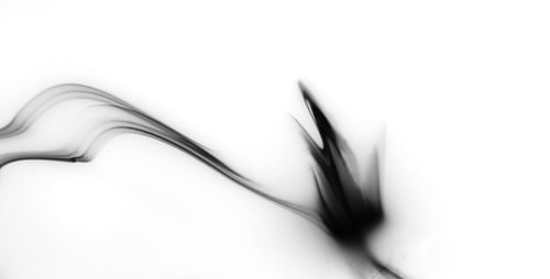 Abstract Black Ink Spreads on White Background