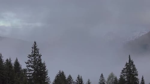 Mountain Alps Landscape with Trees in Fog Clouds