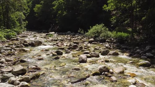 Rio de verão na montanha