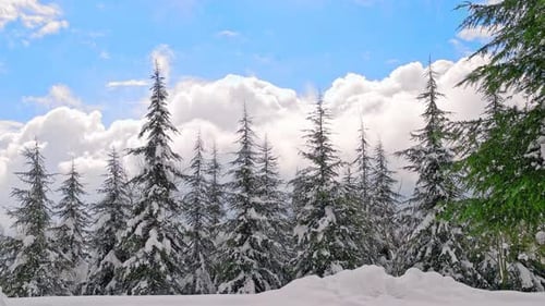 Cloudy Winter Day (4K)