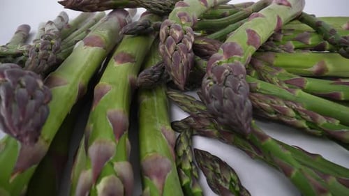Spargel 12