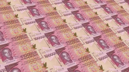 Guinea Money / 10000 Guinean Franc 4K