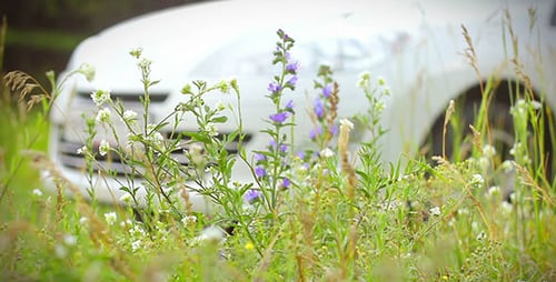 Car Parked in Grassy Meadow on Sunny Day