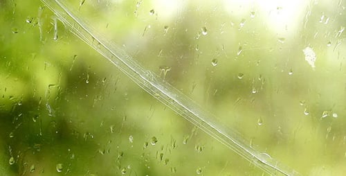 Raindrops on Window with Leafy Green Background