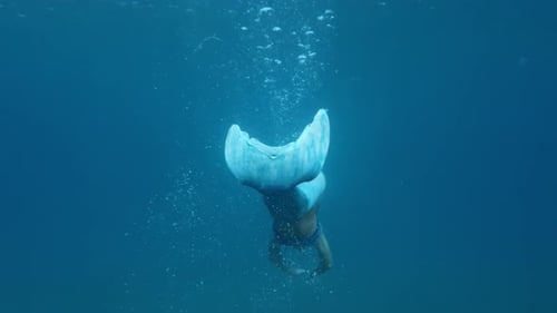 sea mermaid swims underwater in the ocean