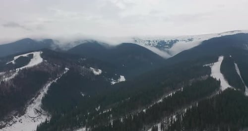 Mountains with the Green Pine Trees and Some White Trees Below.