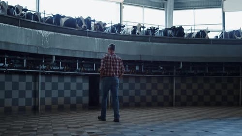 Un agriculteur examine un carrousel d'observation d'un système de traite au travail dans une étable technologique