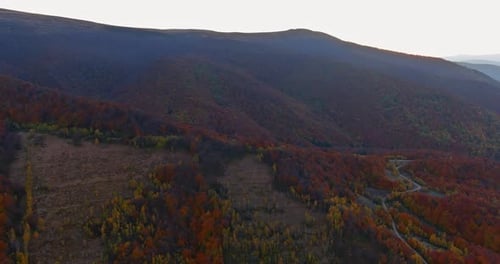 Aerial Top View Amazing Mountain Landscape with Vivid on the Colorful Autumn Forest