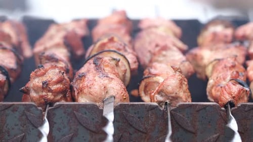 Meat Cooking on Skewers on a Grill