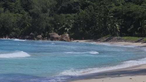 Wunderschöne Natur der Seychellen