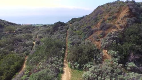 Aerial shot of a young man trail running on a scenic hiking trail.