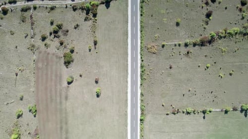 Top Aerial View of an Empty Asphalt Road on the Plateau Between Green Fields
