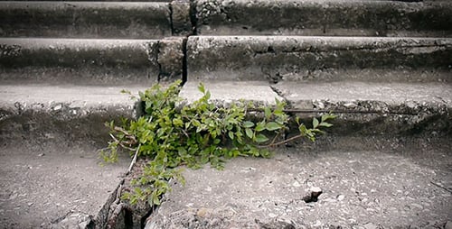 Concrete Stairs 2