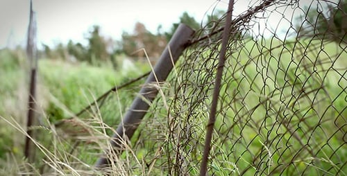Dilapidated Wire Fence in a Rural Grassy Field