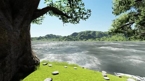 River in the forest
