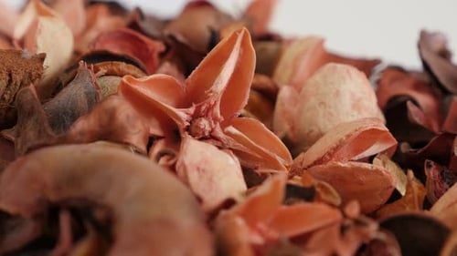 Close Up of Dried Potpourri Mixture