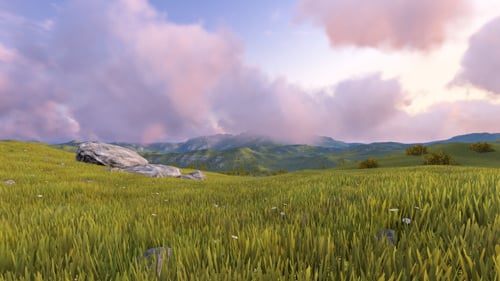 Field Sunrise And Sunset