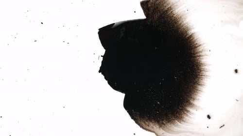 Black Ink Drops On White Background