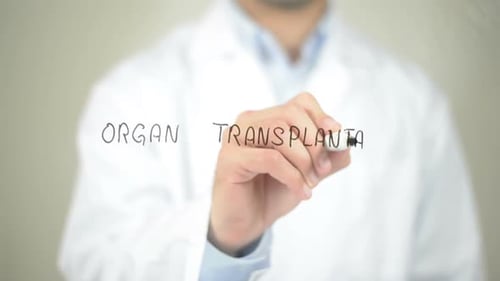 Organtransplantation, Arzt schreibt auf transparentem Bildschirm