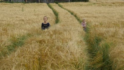Little Girls Running Cross The Wheat Field. Happy Kids Playing On Wheat Field