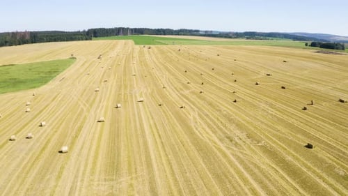 Aerial Drone Shot a Field with Hay Bales in a Rural Area on a Sunny Day Drone Flies Backwards