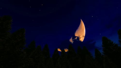 Red Moon At The Forest 2k