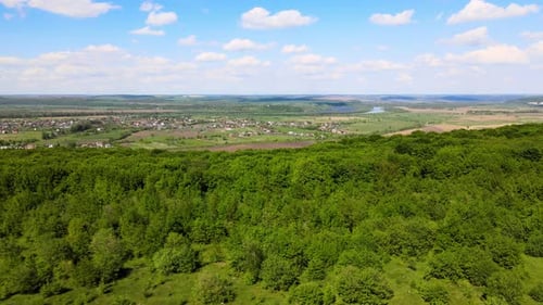 Aerial View of Dark Green Lush Forest with Dense Trees Canopies in Summer