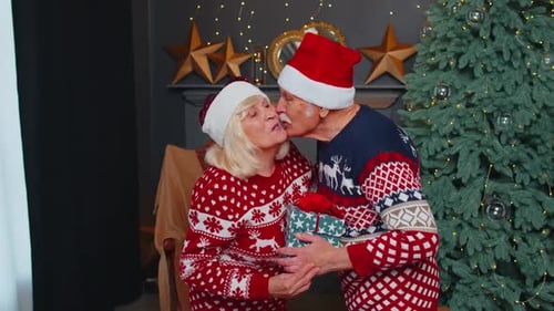 Senior Couple Exchanging Christmas Gift in Home