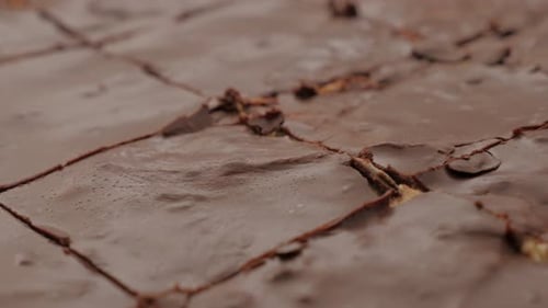 Delicious Chocolate Brownies Freshly Cut Close Up