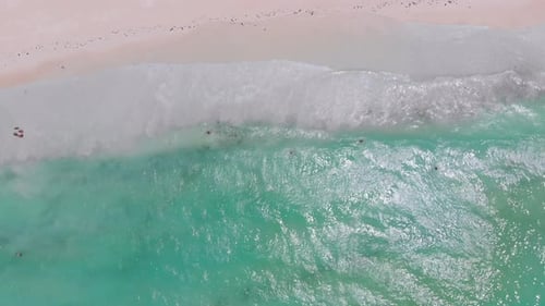 Tropical Beach