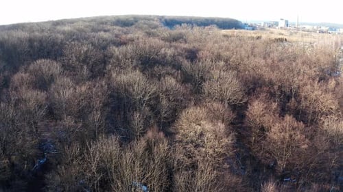 Vue panoramique sur la forêt brune