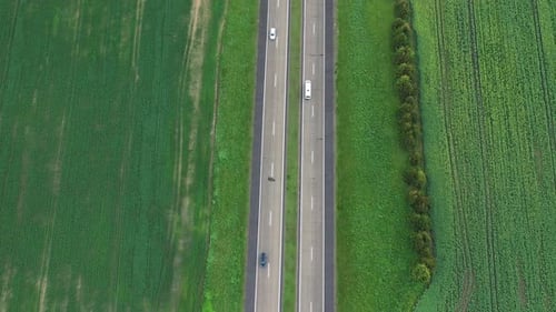 Top View of the Sown Green in Belarus