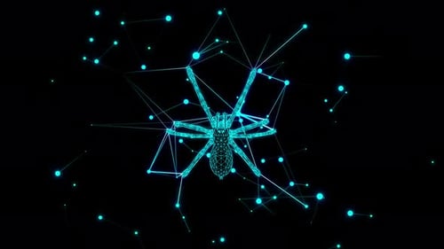 Star Spider 4K