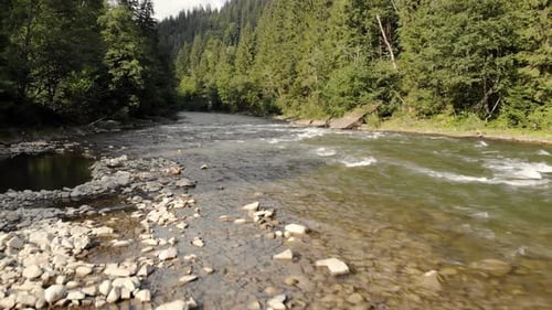 Mountain River Flowing Through Forest