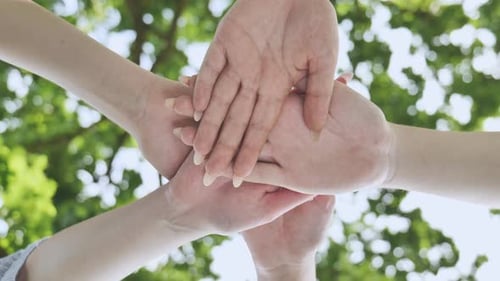Women Connect with Hands in Cooperative Group